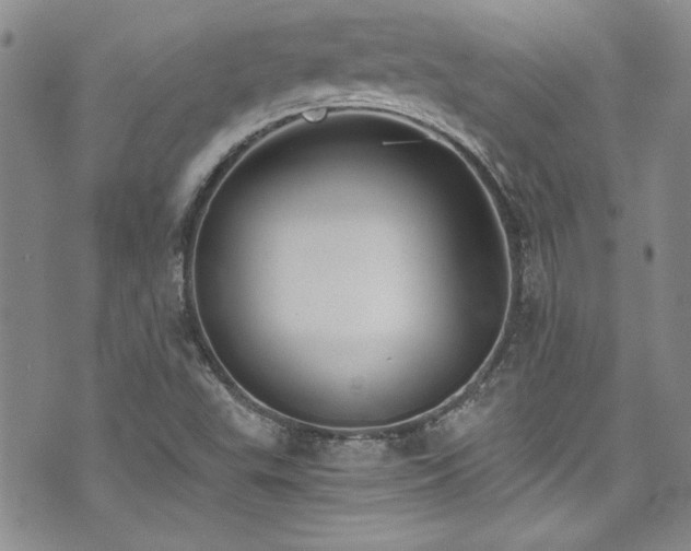 X0000076271503200609281152