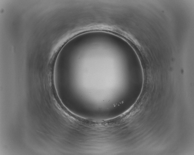 X0000076271504200609281152