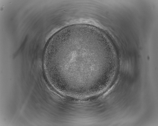 X0000076271505200609281152