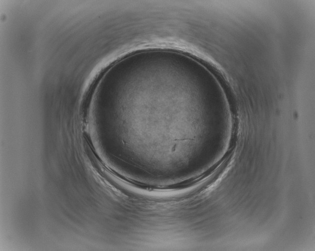 X0000076271506200609281152