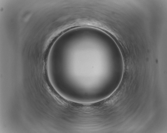 X0000076271507200609281152