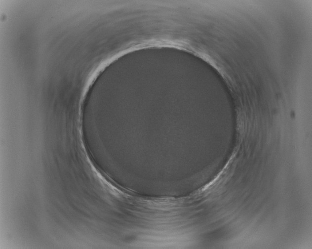 X0000076271508200609281152