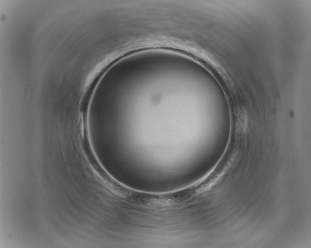 X0000076271509200609281152