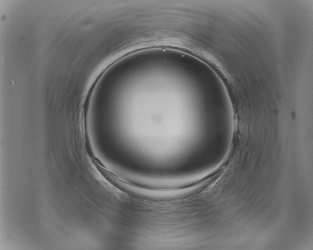 X0000076271516200609281152