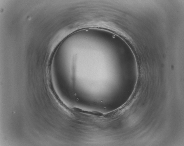 X0000076271517200609281152