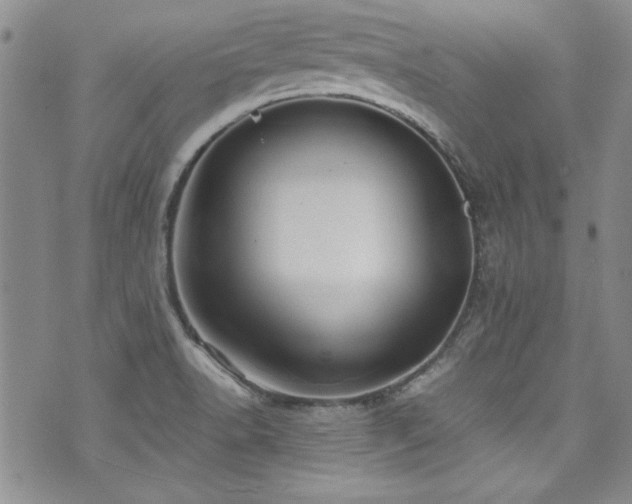 X0000076271518200609281152