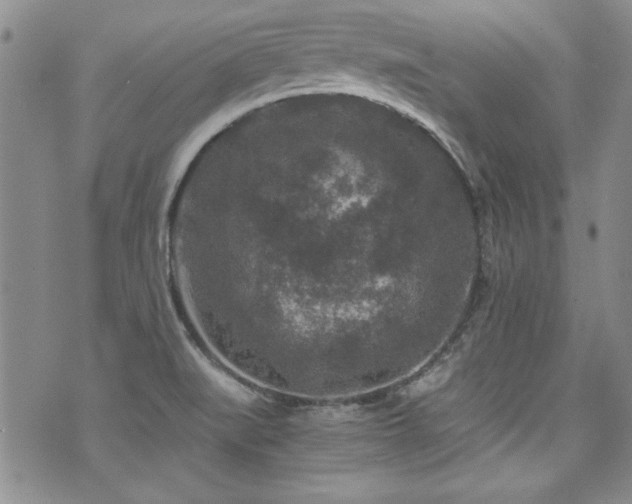 X0000076271519200609281152