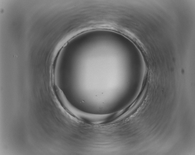 X0000076271520200609281152