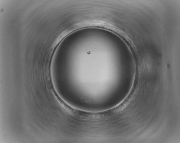 X0000076271521200609281152