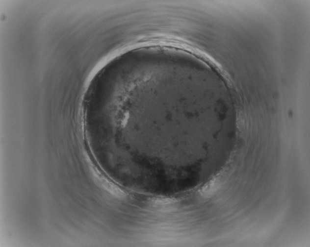 X0000076271522200609281152