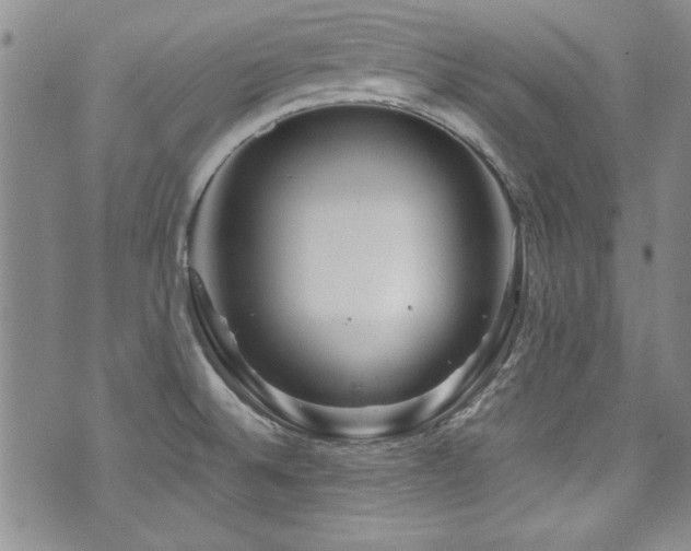 X0000076271524200609281152