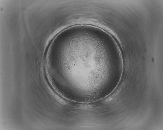 X0000076271525200609281152