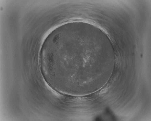 X0000076271527200609281152