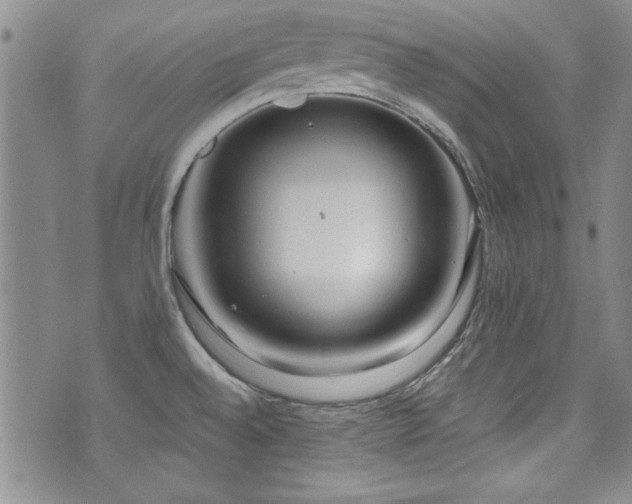 X0000076271528200609281153