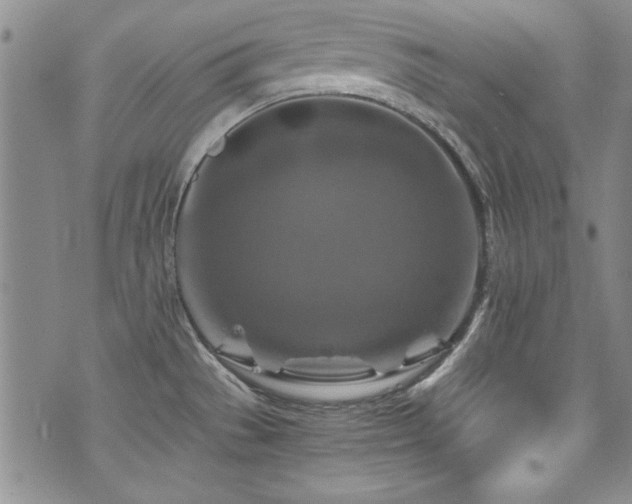 X0000076271529200609281153