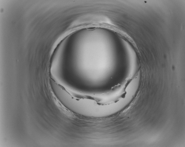 X0000076271530200609281153