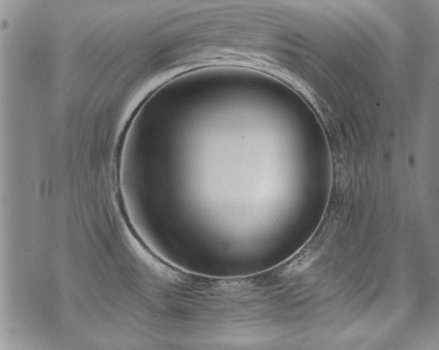 X0000076271531200609281153