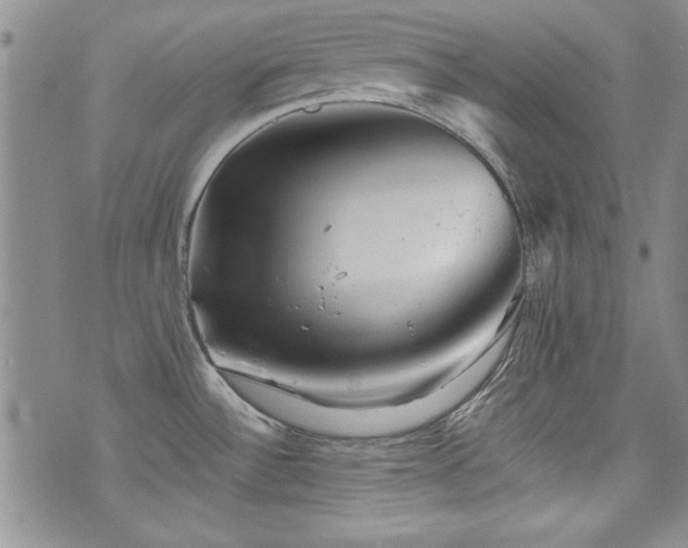 X0000076271532200609281153