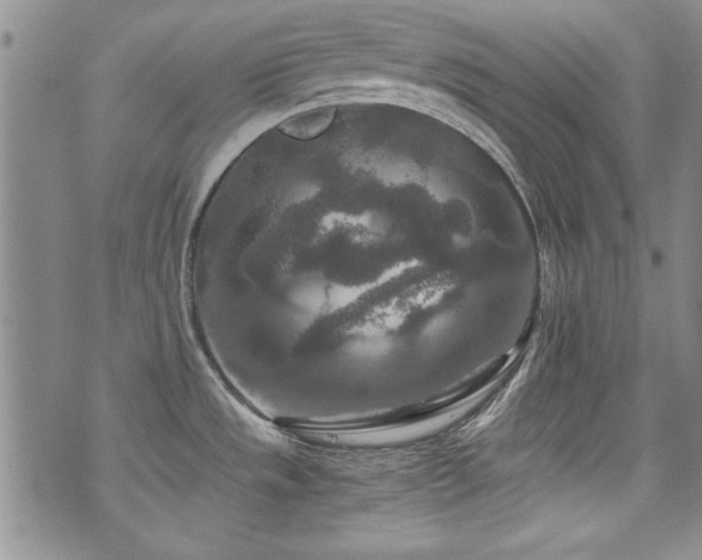 X0000076271533200609281153