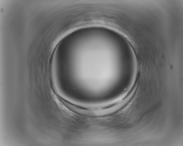 X0000076271534200609281153