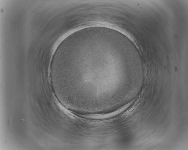 X0000076271535200609281153