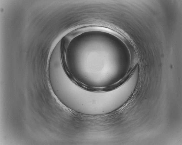 X0000076271536200609281153