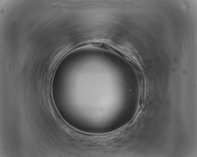 X0000076270001200610051322