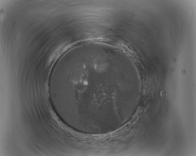 X0000076270002200610051322