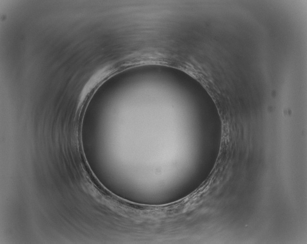 X0000076270004200610051322