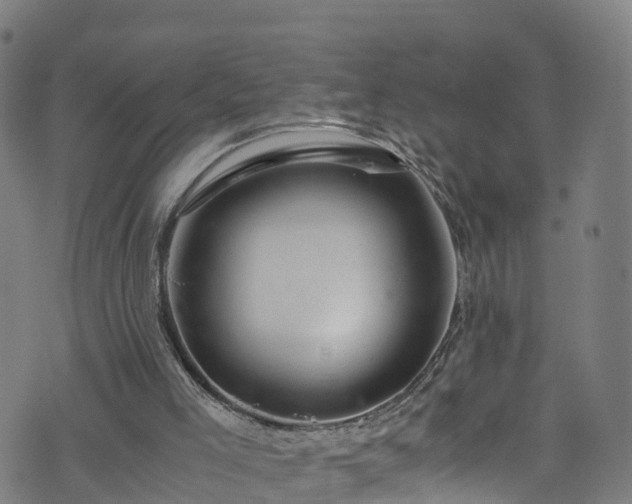 X0000076270005200610051322