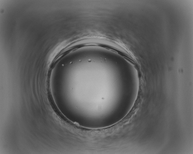 X0000076270007200610051322