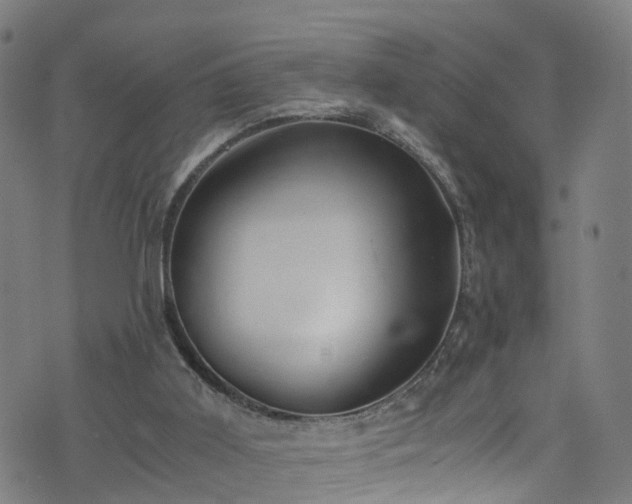 X0000076270011200610051322