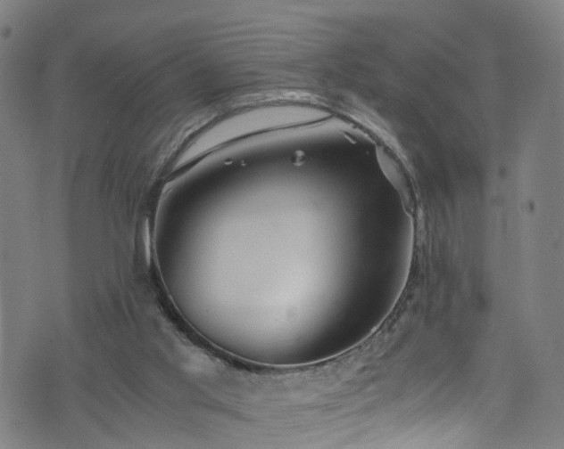 X0000076270013200610051322