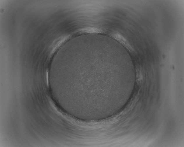 X0000076270014200610051322