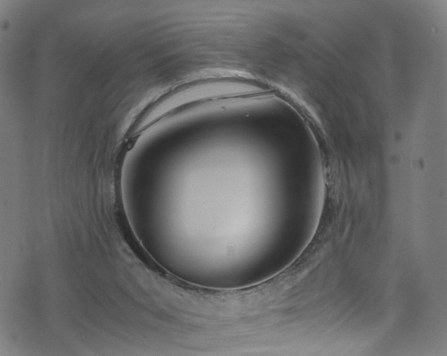 X0000076270015200610051322