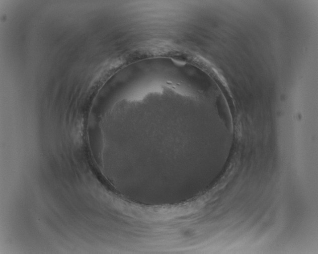 X0000076270018200610051322