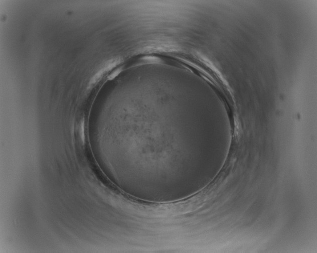 X0000076270019200610051322