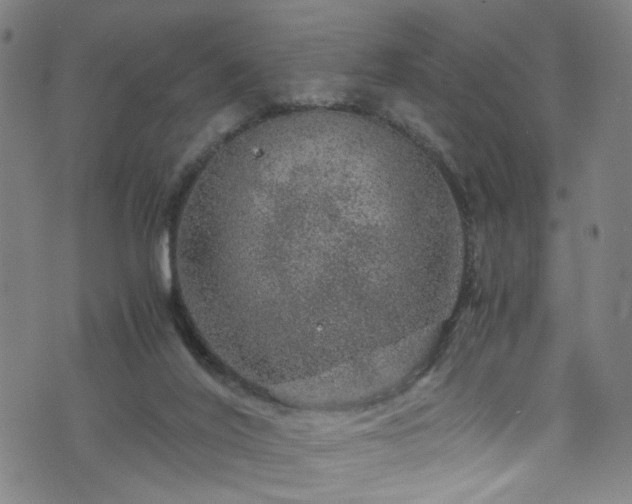 X0000076270020200610051322