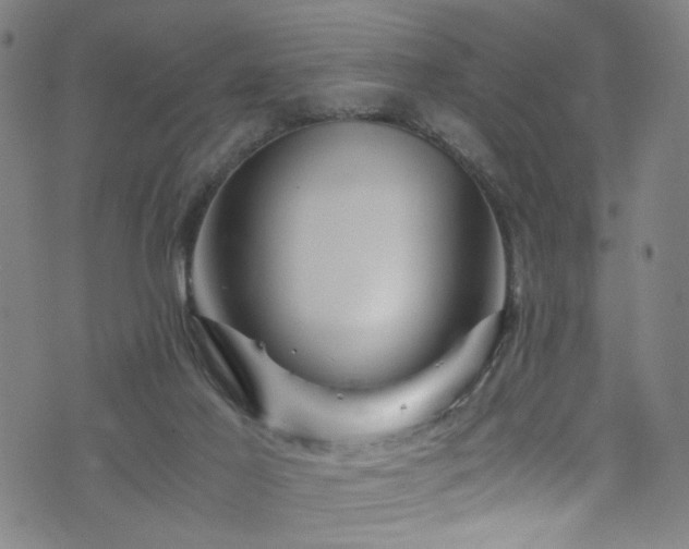 X0000076270021200610051322