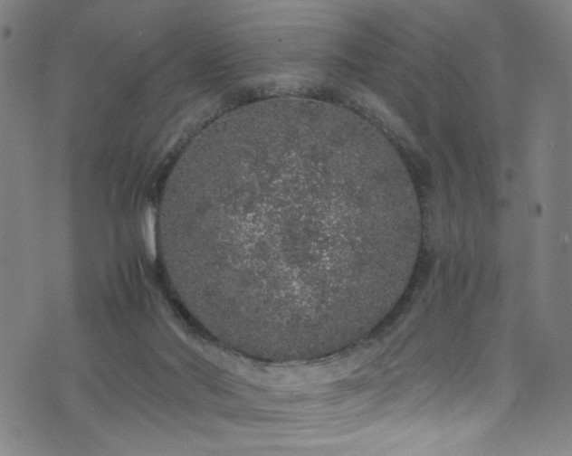 X0000076270022200610051322