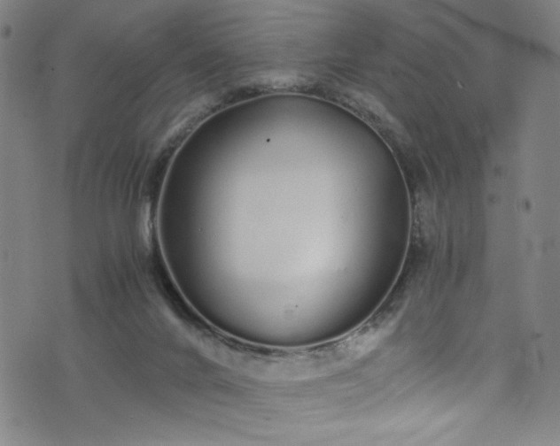 X0000076270024200610051322