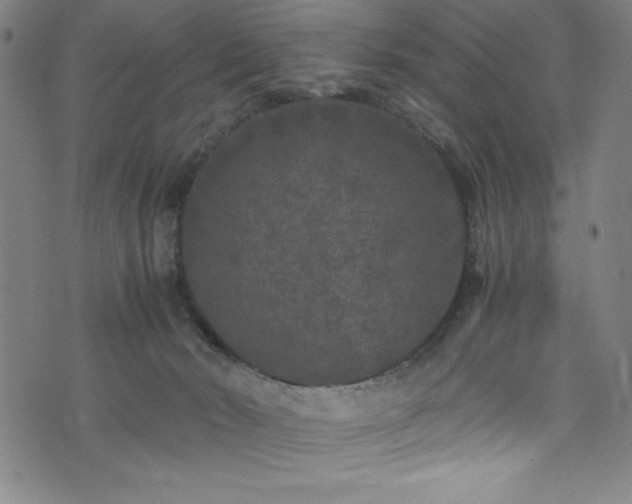 X0000076270030200610051322