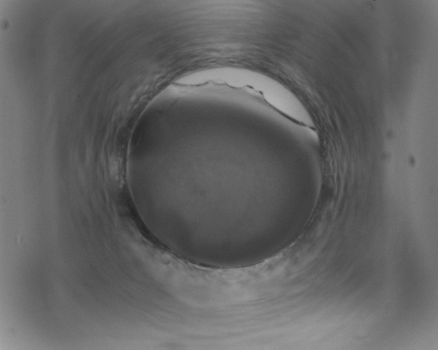 X0000076270031200610051322