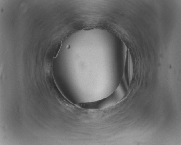 X0000076270033200610051322