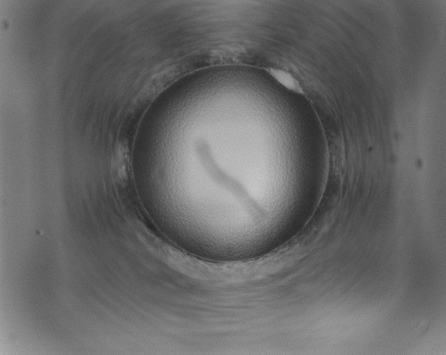 X0000076270038200610051322