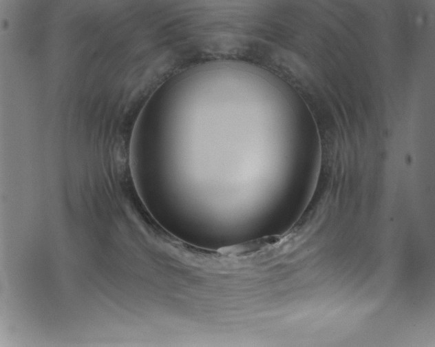 X0000076270040200610051322