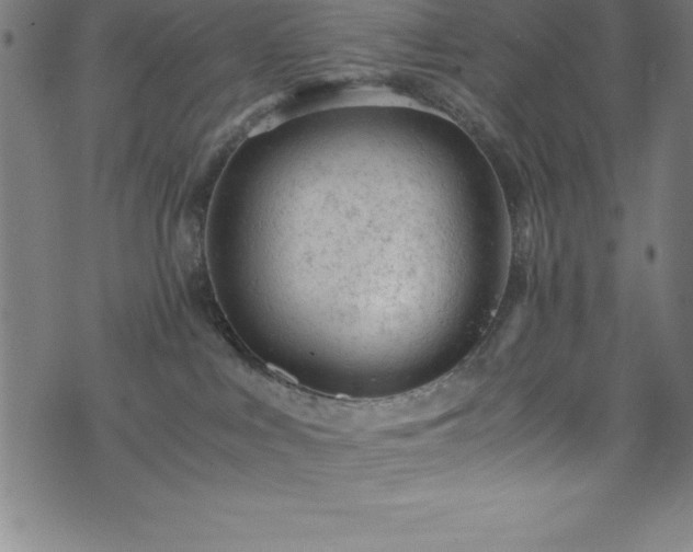 X0000076270043200610051322