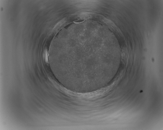 X0000076270046200610051322