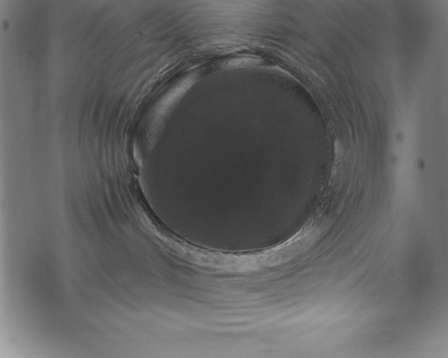 X0000076270048200610051322