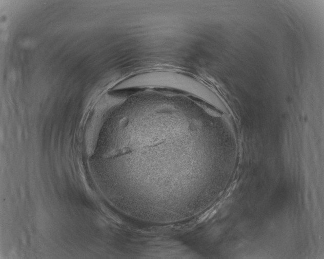 X0000076270049200610051321